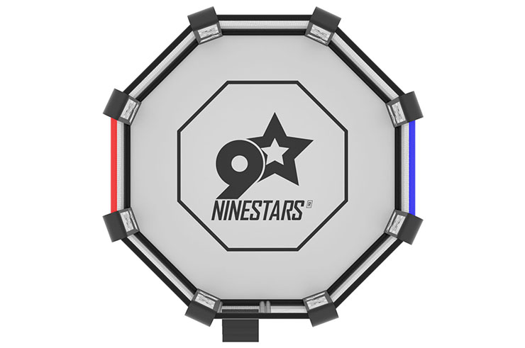 Cage de MMA Renforcée avec petite plateforme - 100% Personnalisable | NineStars®