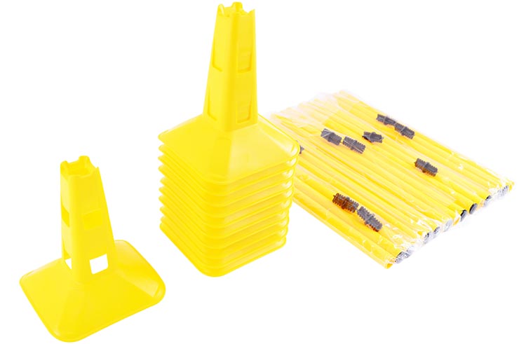 Training cone, with holes for pole