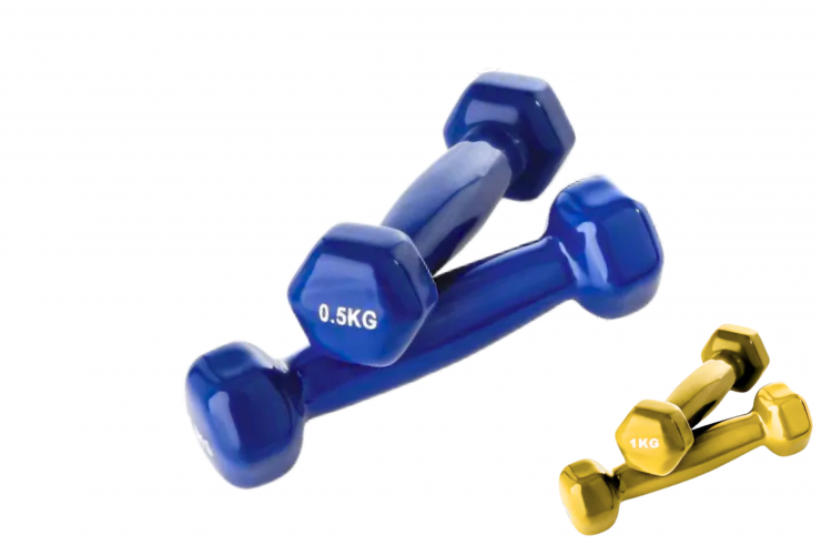 Paire de mini haltères (0,5 et 1 kg), Fit&Rack